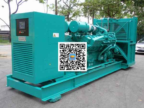 金平租赁发电机-康明斯发电机性价比还是比较高的