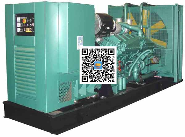 金平笼型异步发电机的电力电子控制技术